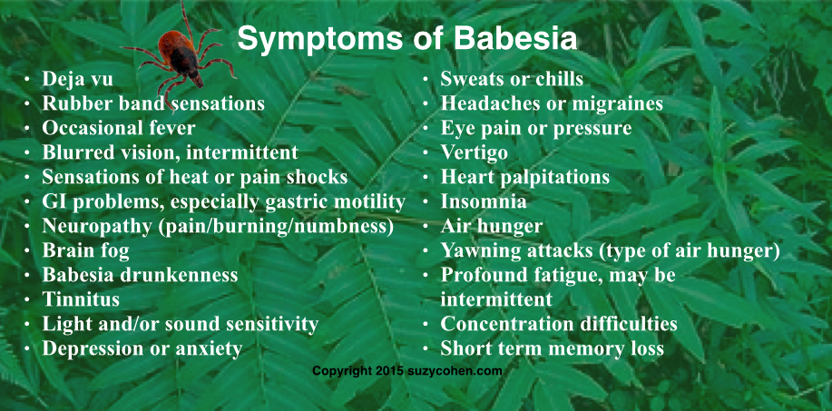 Screen-Shot-2015-05-27-at-11.50.41-PM