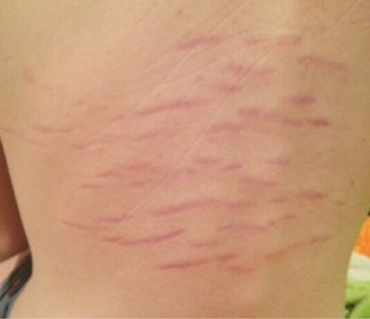 blogger-image--1725643523