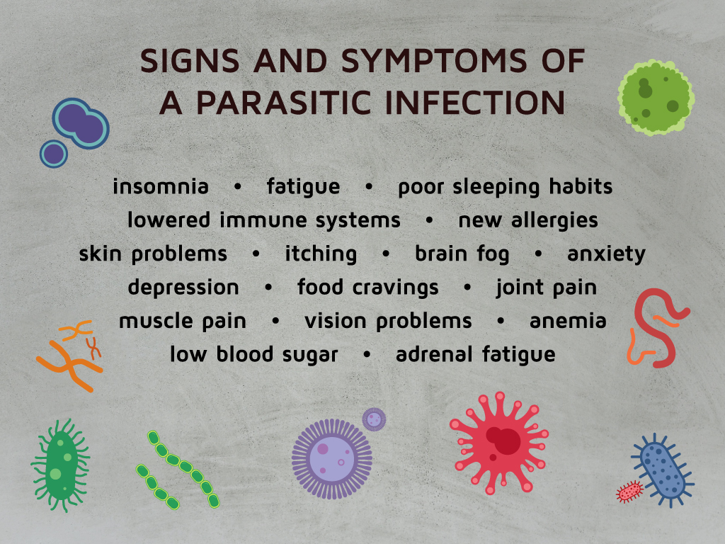 Remove-Parasite-Lyme-2
