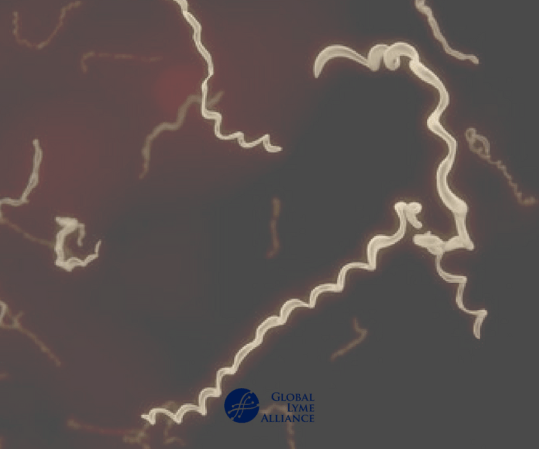 New-Site-Images_PR-News-etc