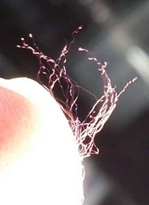 12524167_1305762309453504_3525546674575148753_n-218x300