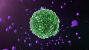 AdobeStock_114038733-300x169