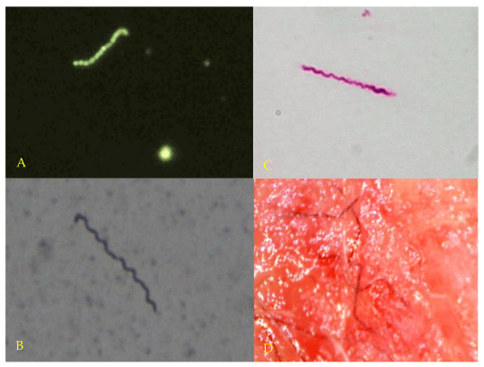 healthcare-06-00033-g001