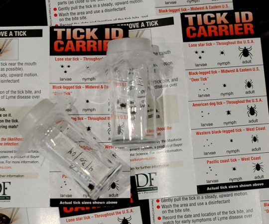 New Clothing Offers Protection Against Ticks