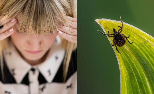 lyme-disease-symptoms-1528314206