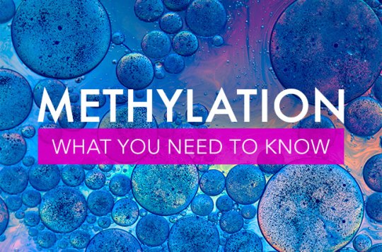 Methylation-What-you-need-to-know
