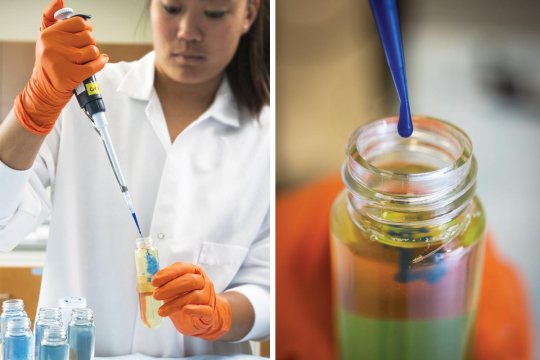 lyme-disease-detection