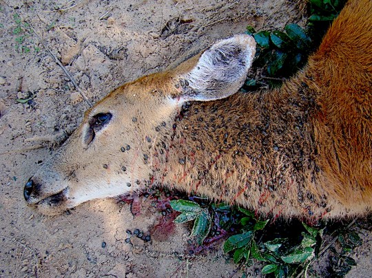 1-s2.0-s2213224418300889-gr3_lrg