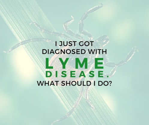 diagnosed-w-lyme-disease
