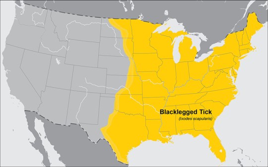 lgmap-blacklegged_tick