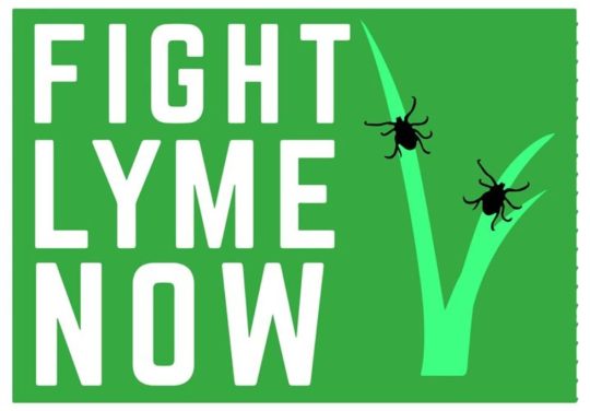 fight-lyme-now-978x681