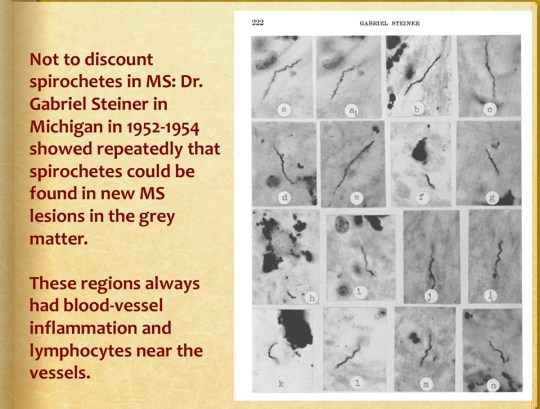 68956343_10218363594908655_6861034436578770944_n