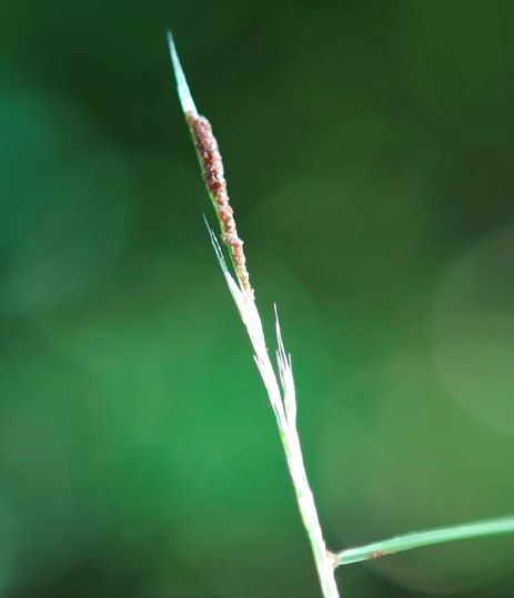 three_surprising_4.png-2