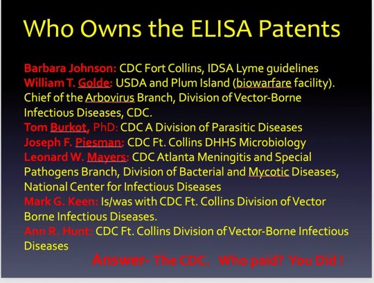 64357008_10217935576008450_2638357839671721984_n-2