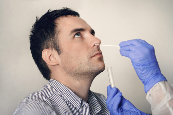 doctor taking nasal mucus test sample from male nose performing respiratory virus testing procedure. Checking the nasal cavity in ENT.