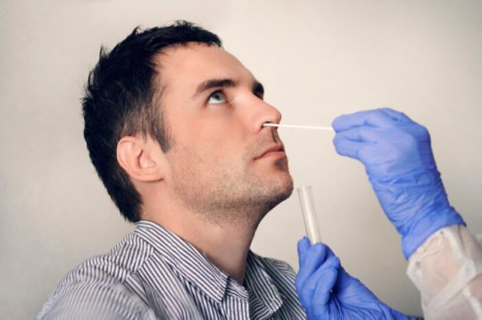 doctor taking nasal mucus test sample from male nose performing respiratory virus testing procedure. Checking the nasal cavity in ENT.