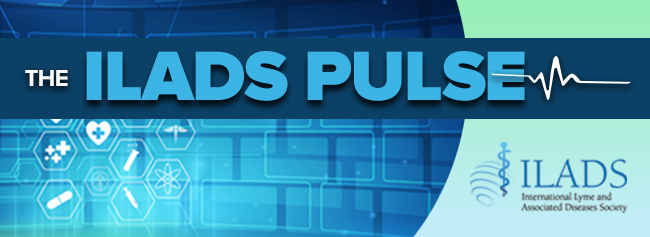 c21b938f-f61c-4ed6-b86b-2c11cb9a33a0