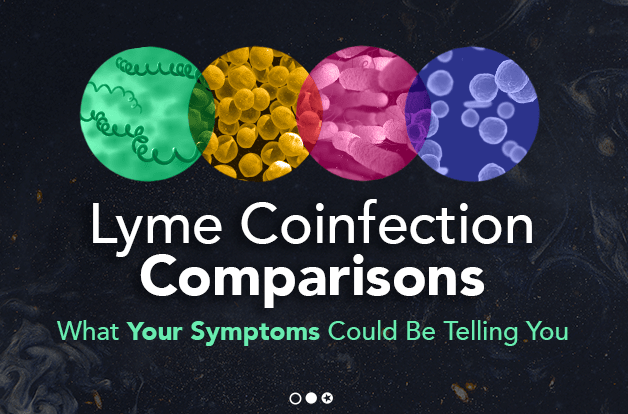 lyme-coinfection-comparisons-what-symptoms-could-be-telling-you
